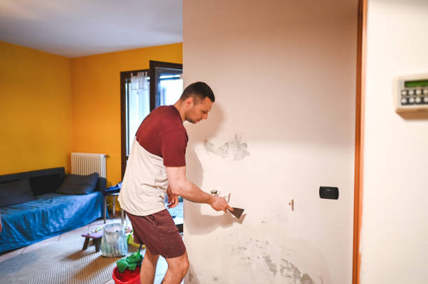 Best Professional Mold Removal  in Newbern, TN
